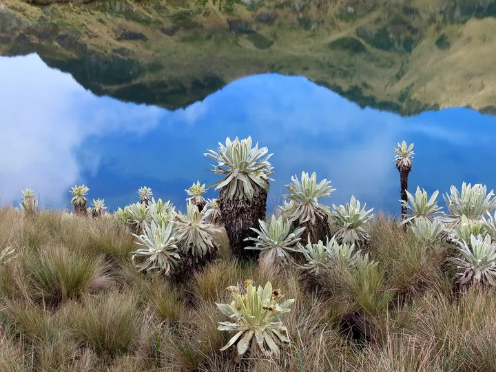 Volcán Cumbal